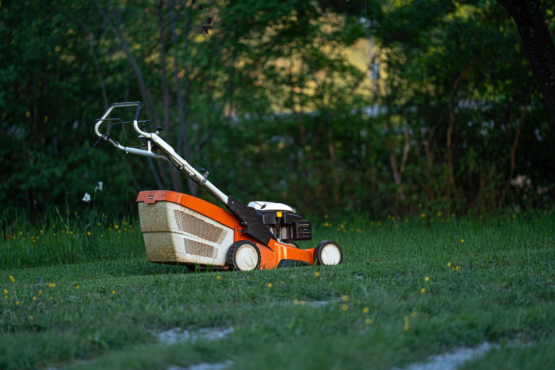 An orange lawn mower on a freshly cut backyard lawn edged with trees