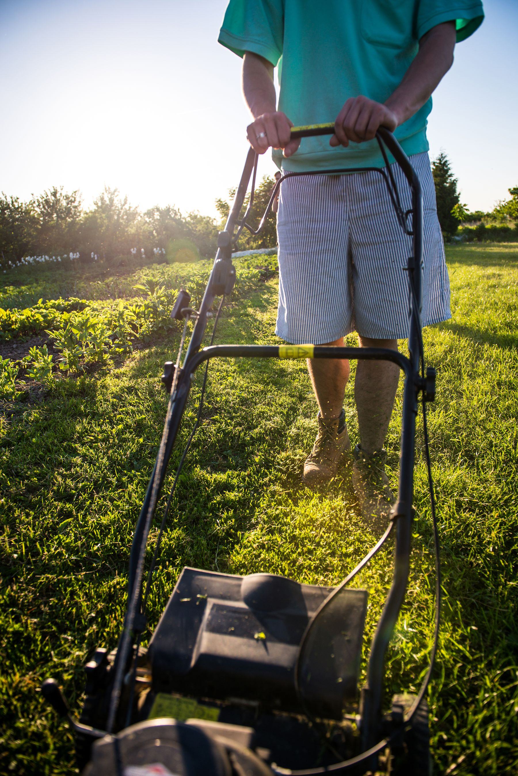 A person pushing a lawn mower across a sunlit green lawn